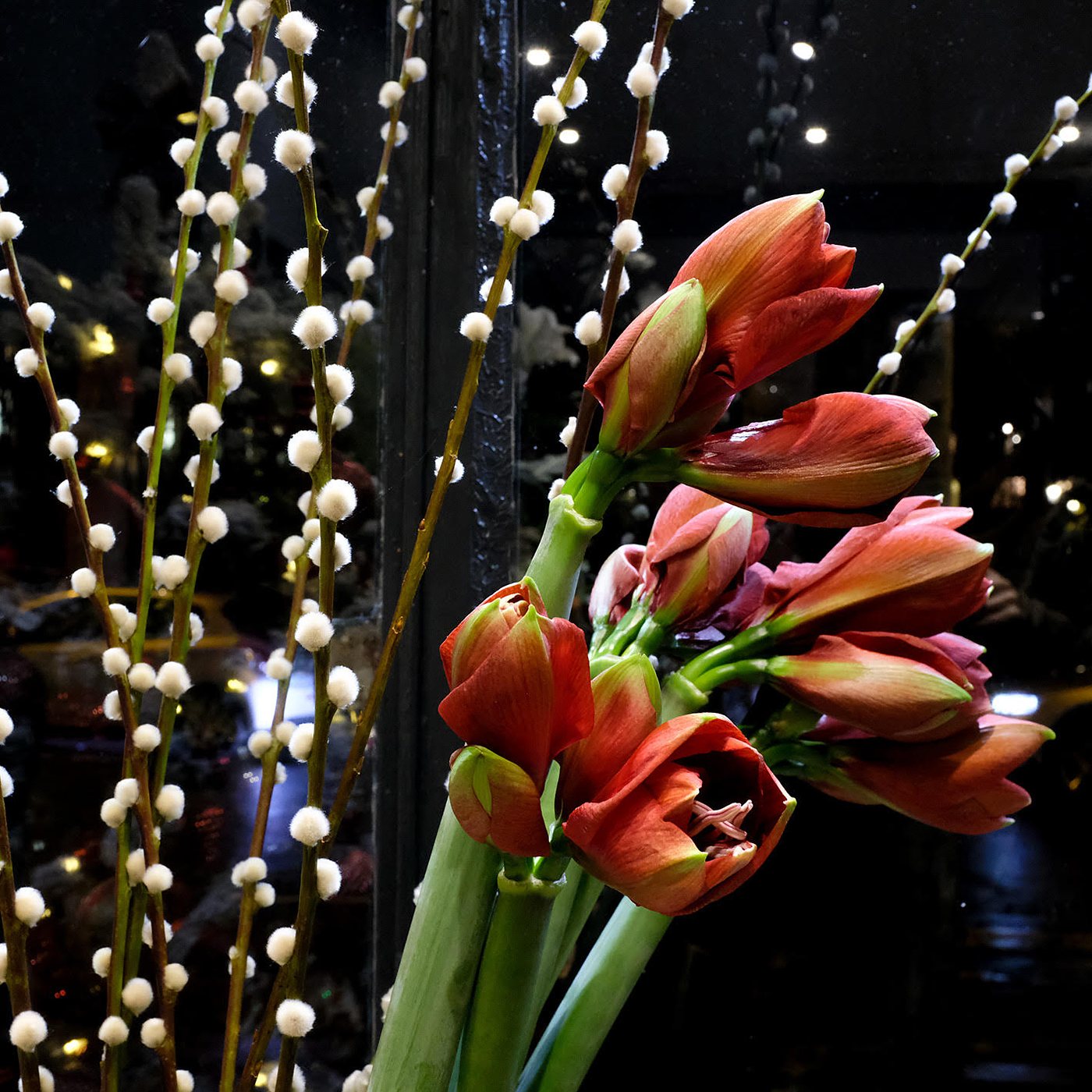 Amaryllis orangées et branches de saule fleuries dans la boutique