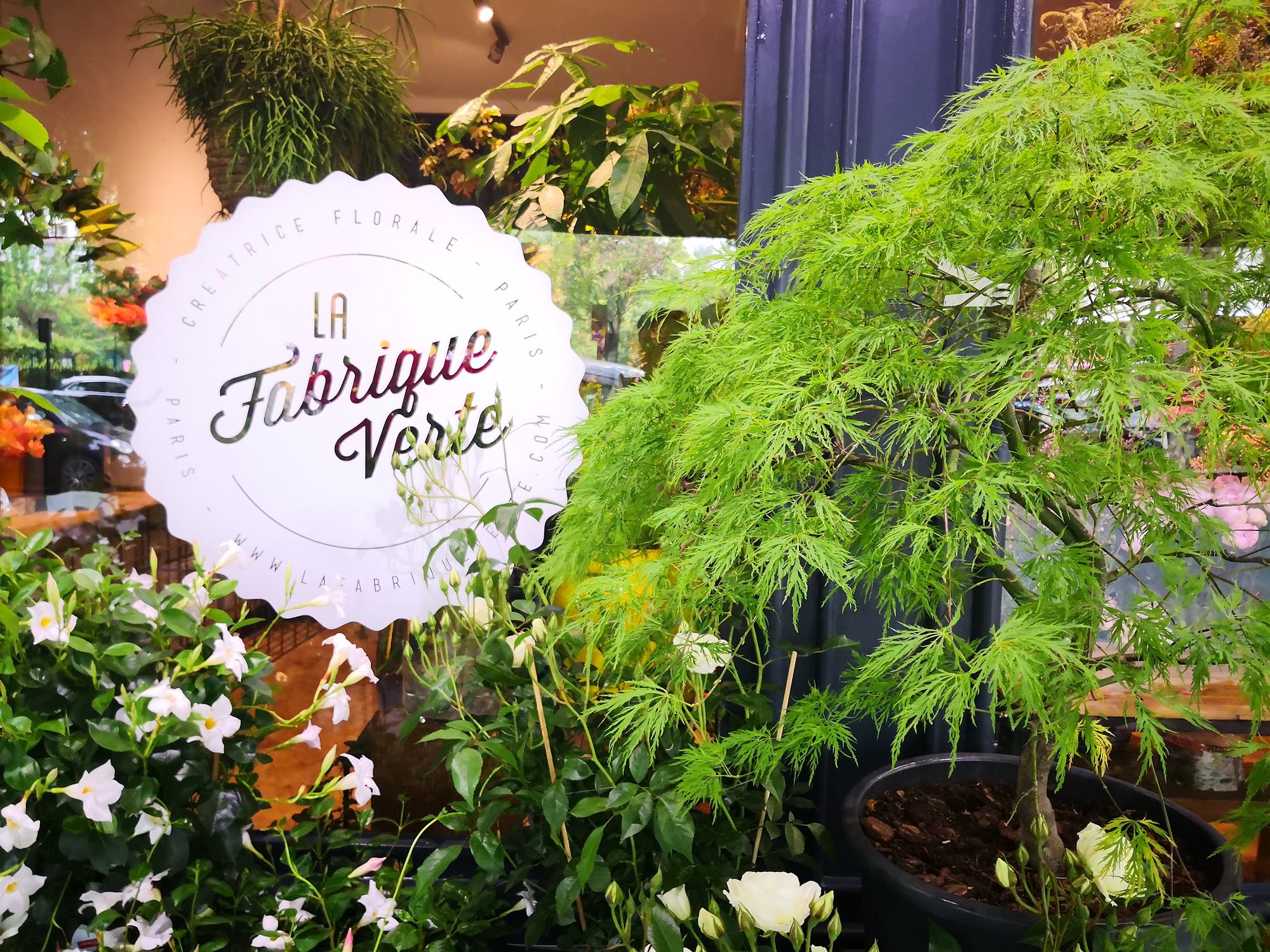 L’érable du Japon et les plantes fleuries devant la vitrine, avec le médaillon de la maison