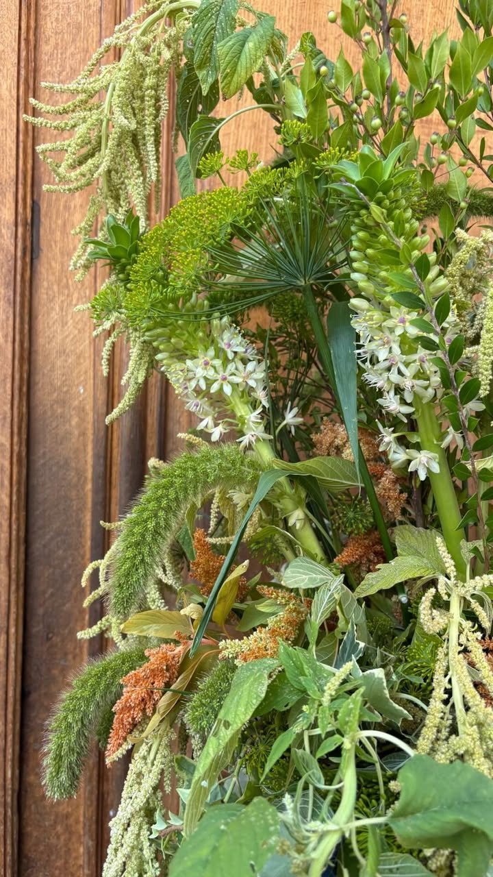 Feuillages et branchages verts serrés devant la vitrine