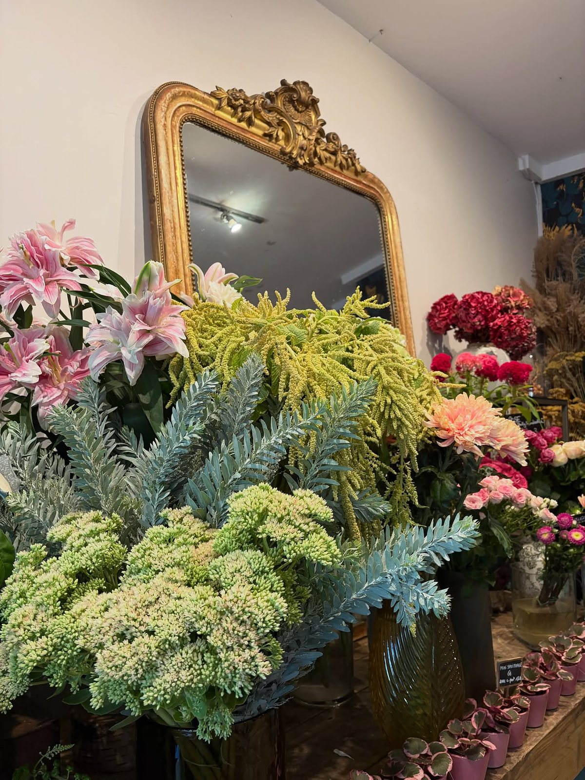 L’intérieur de la boutique, miroir doré et plantes vertes